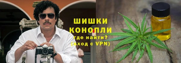 сатива Балабаново
