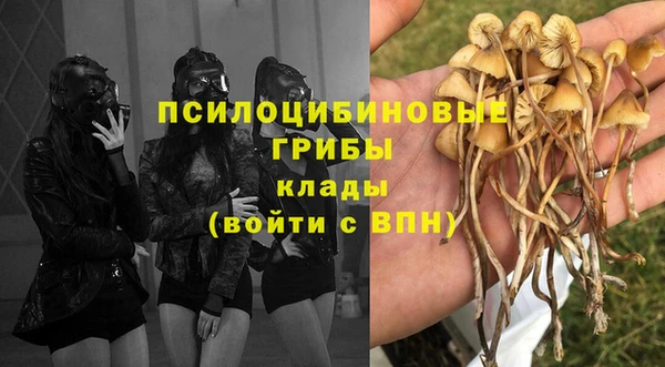 альфа пвп Баксан