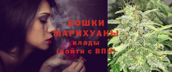 сатива Балабаново